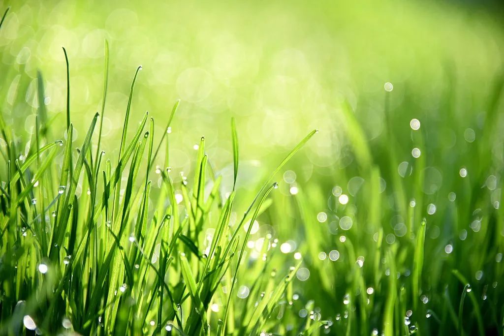 k1集团(体育股份有限公司)-十年品牌 值得信任