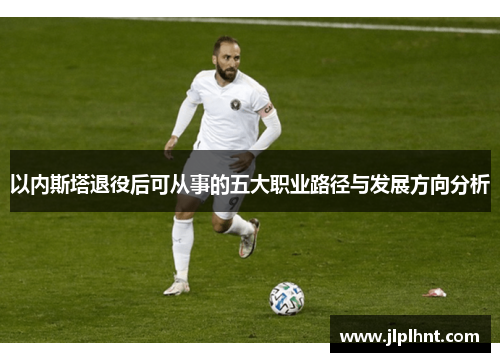 以内斯塔退役后可从事的五大职业路径与发展方向分析