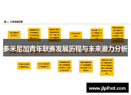 多米尼加青年联赛发展历程与未来潜力分析
